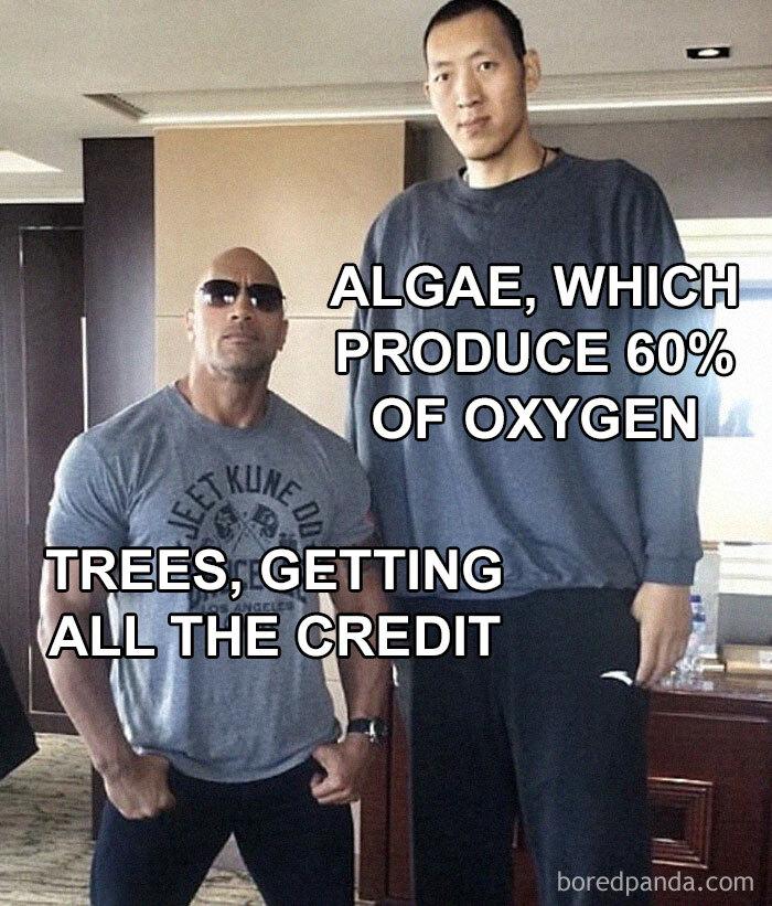 Oxygen's Unsung Heroes