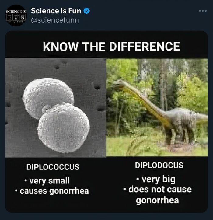 Know The Difference: Microscopic Menace Vs. Mesozoic Marvel