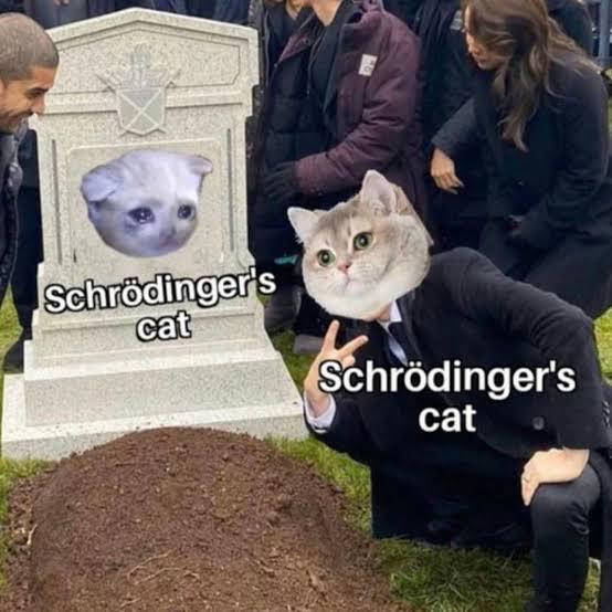Schrödinger's Funeral Paradox