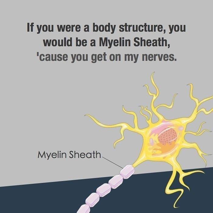 The Perfect Neuroscience Pickup Line