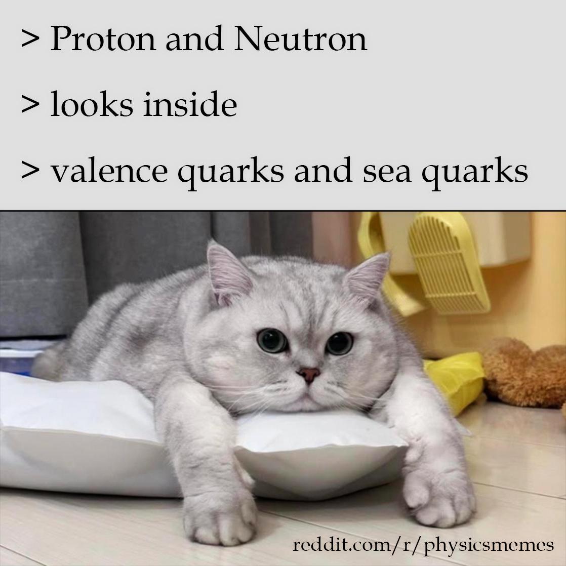 The Quark Catastrophe
