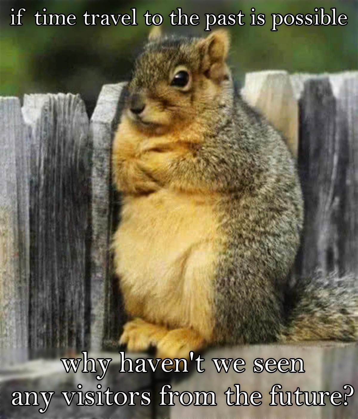 The Time Traveler's Squirrel