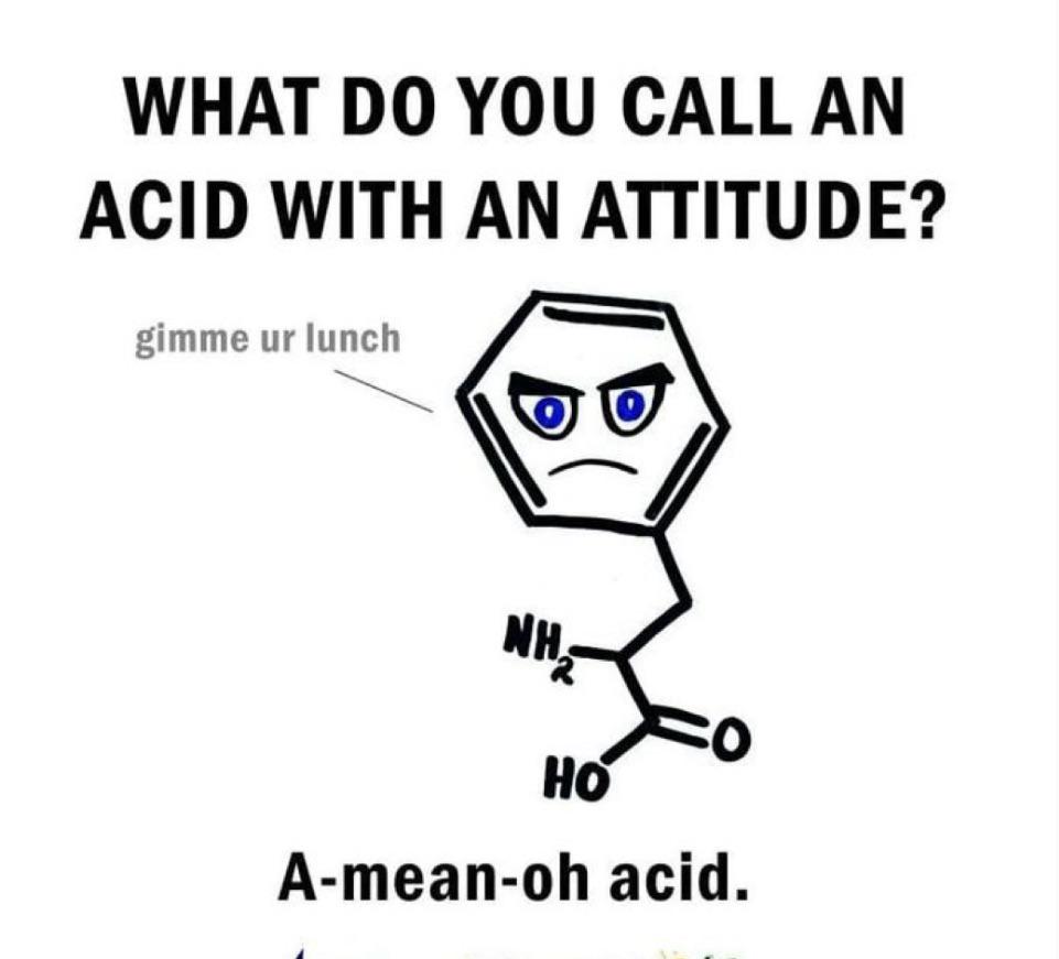 The Molecular Bully: A-Mean-Oh Acid