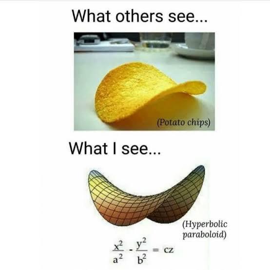 Chips Paraboloid: Snacking On Mathematical Perfection