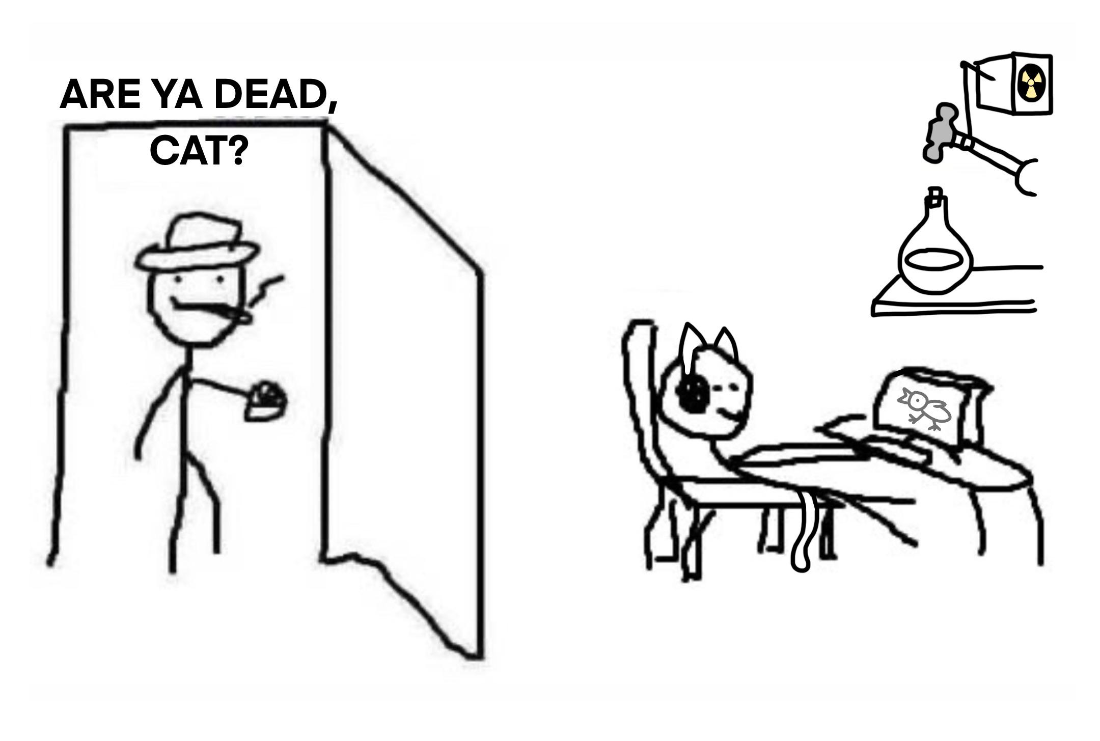 Schrödinger's Zoom Call