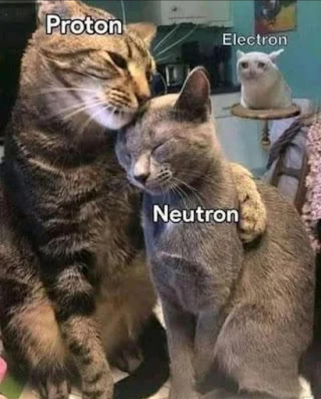 Feeling Sad For Electron