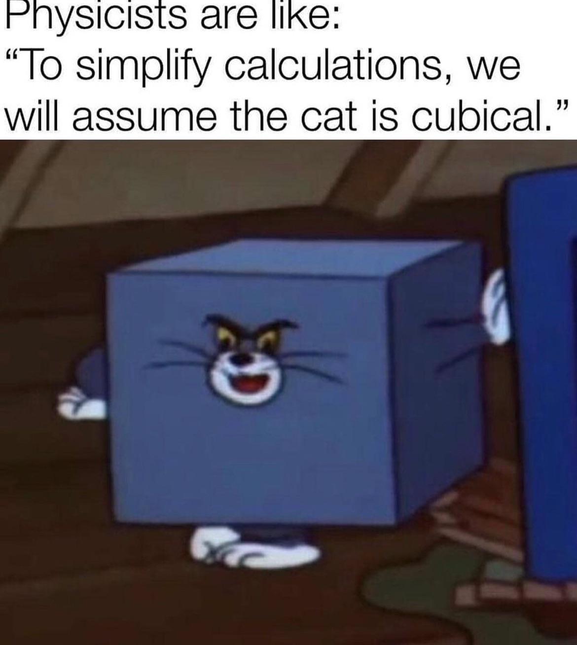 The Cubical Cat Conundrum