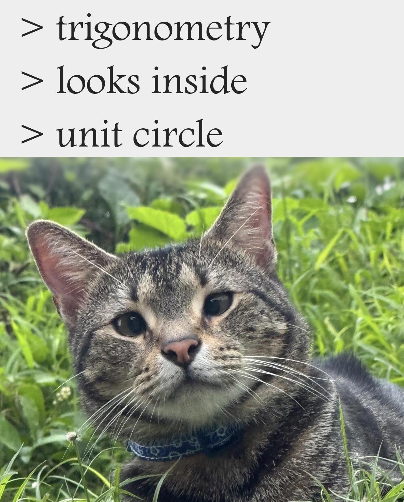 When Cats Discover The Unit Circle