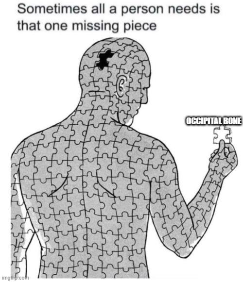 It's An Important Part Of Your Skull