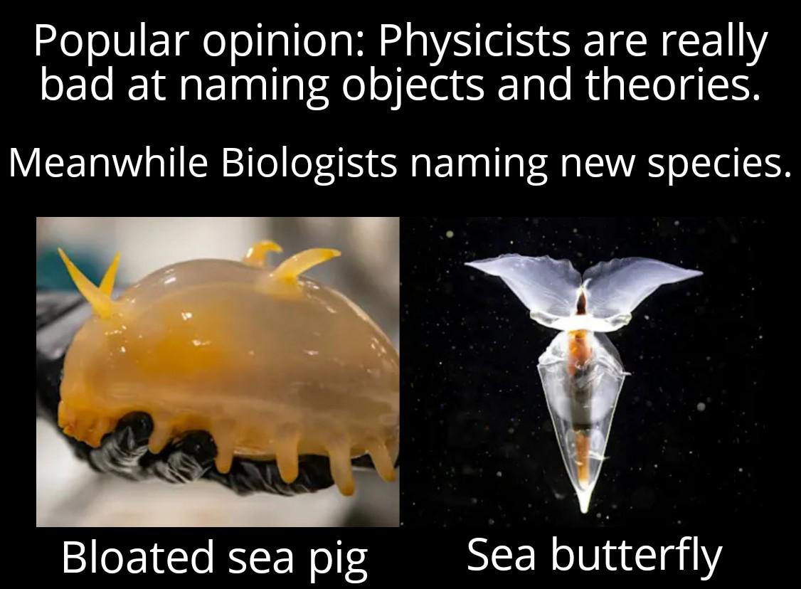 The Great Scientific Naming Showdown