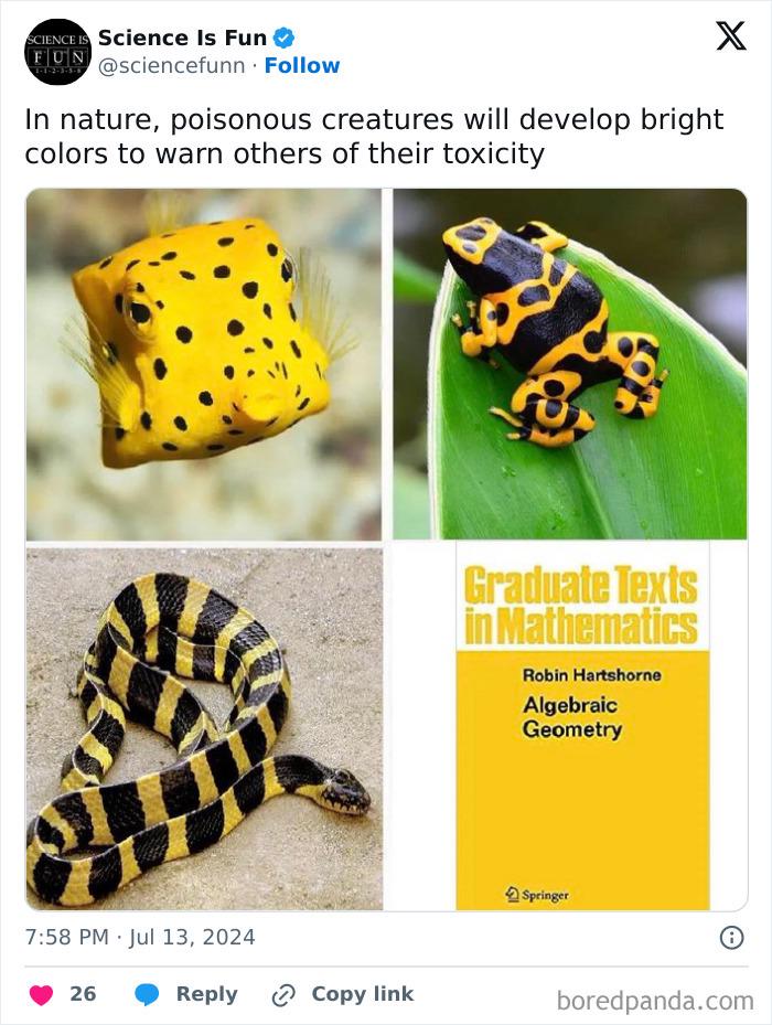 Warning Colors In Nature