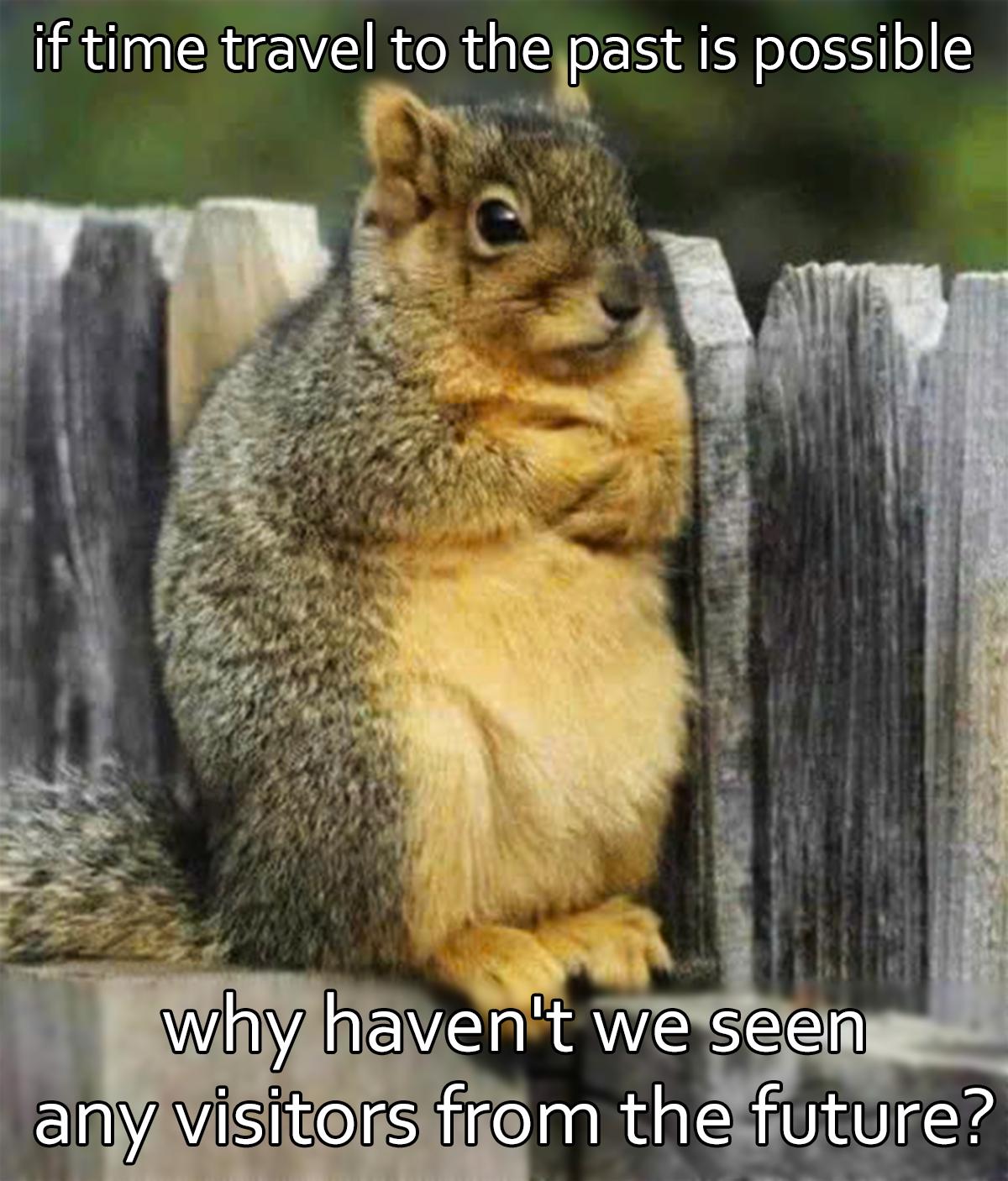 The Temporal Squirrel Paradox