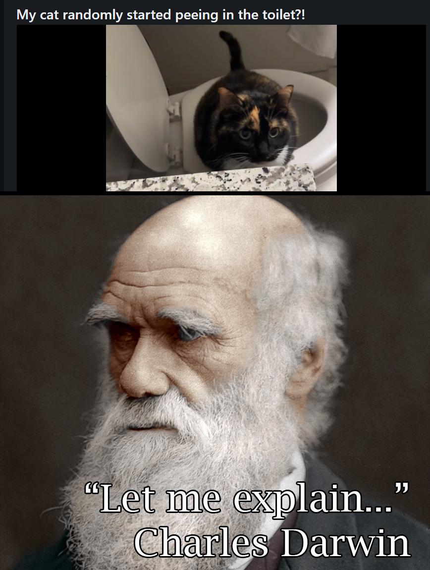 It's Called Evolutionary Adaptation
