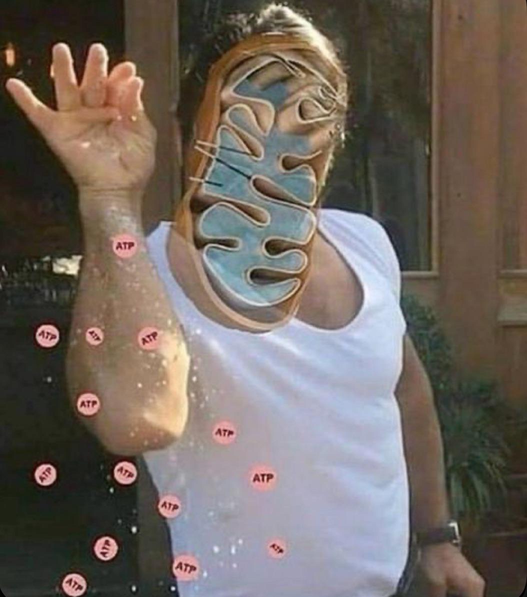 The Powerhouse Of The Cell Showing Off