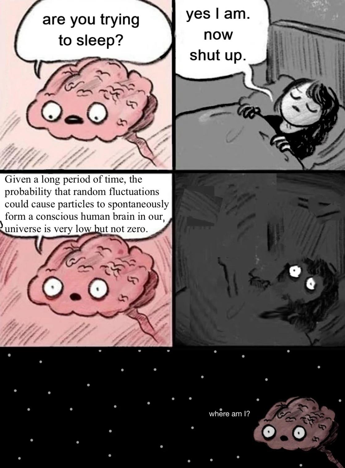 Existential Insomnia: The Boltzmann Brain Paradox