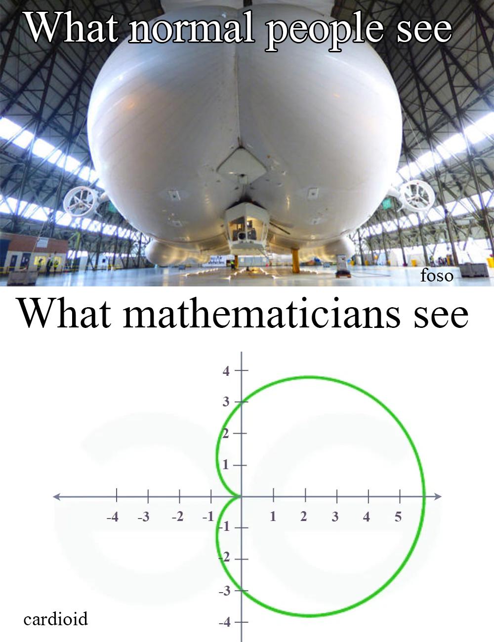 What Do You See?