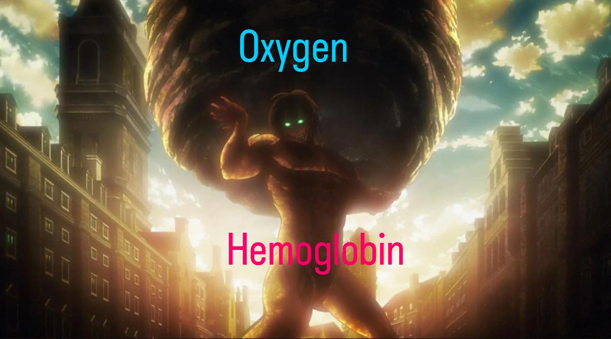 Hemoglobin Working Hard To Distribute Oxygen Throughout Your Body
