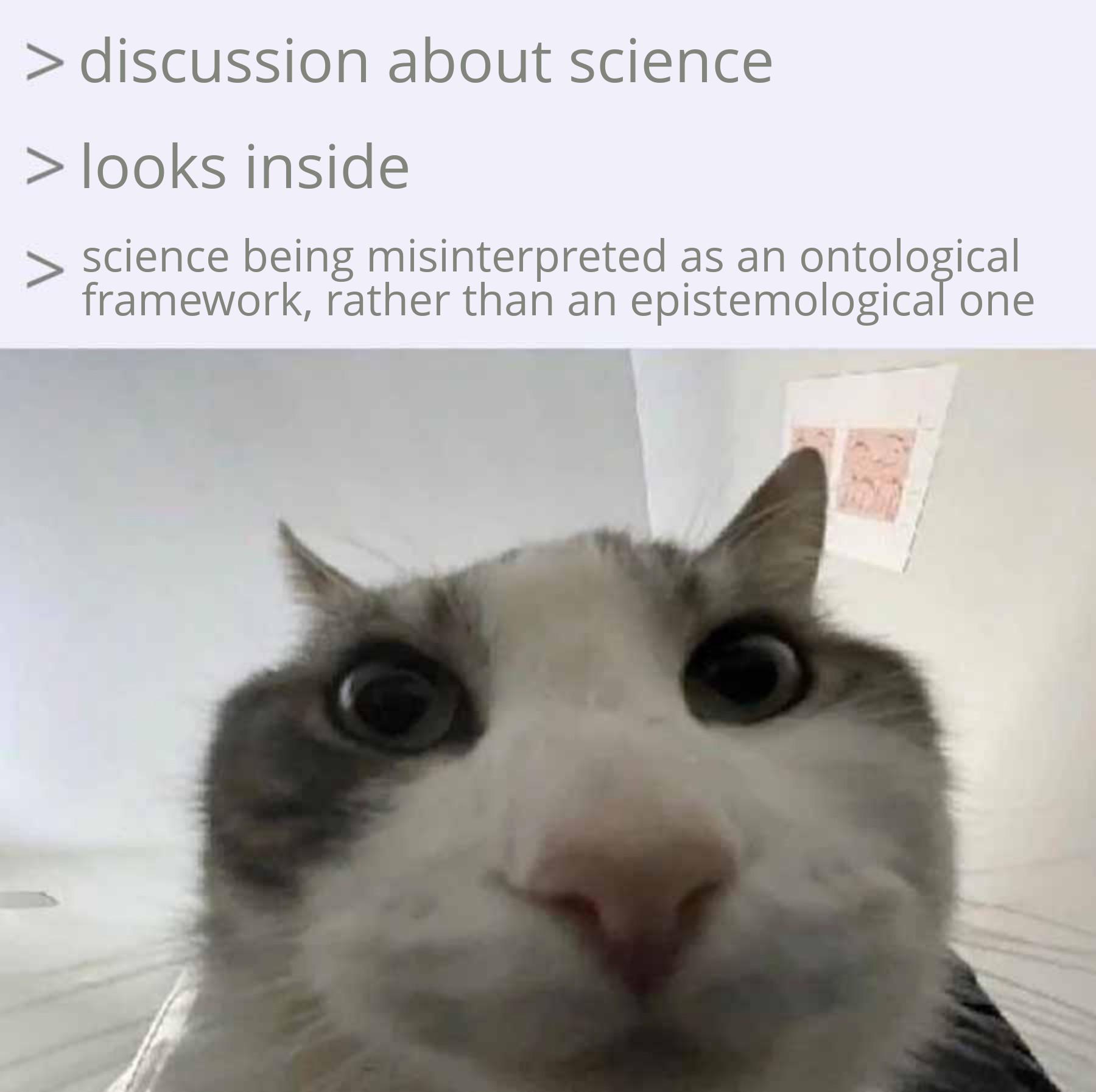 The Ontological Cat-astrophe