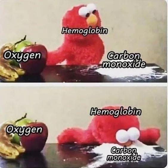 Hemoglobin's Deadly Affair With Carbon Monoxide