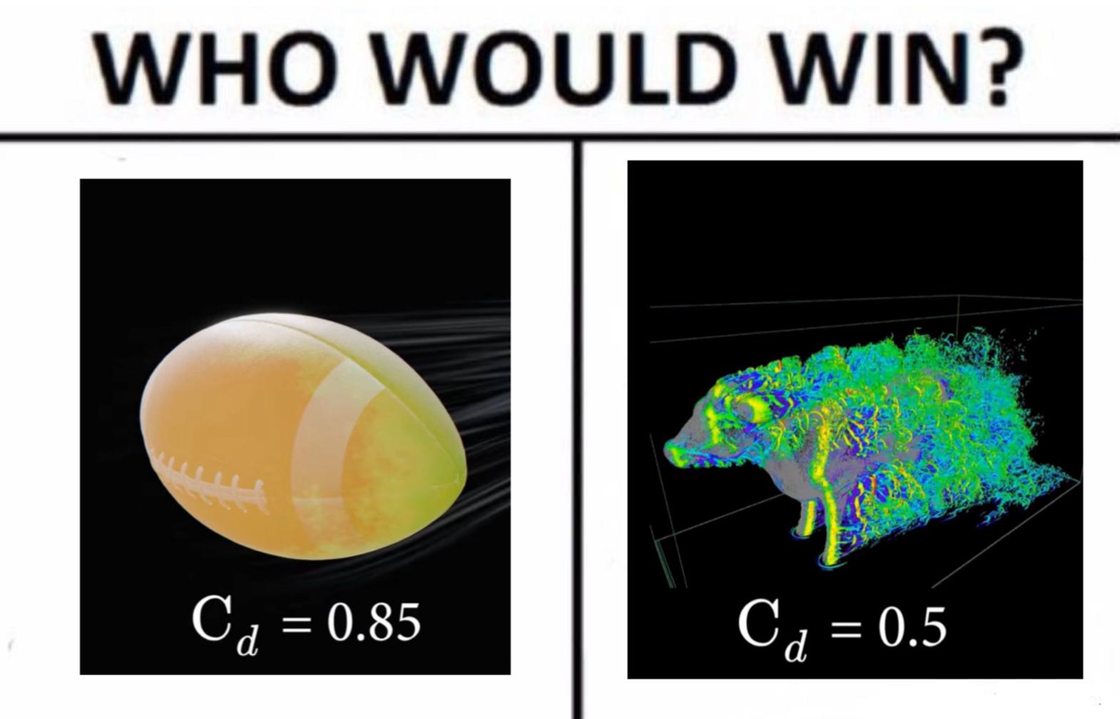 The Aerodynamic Showdown: Pig vs. Football