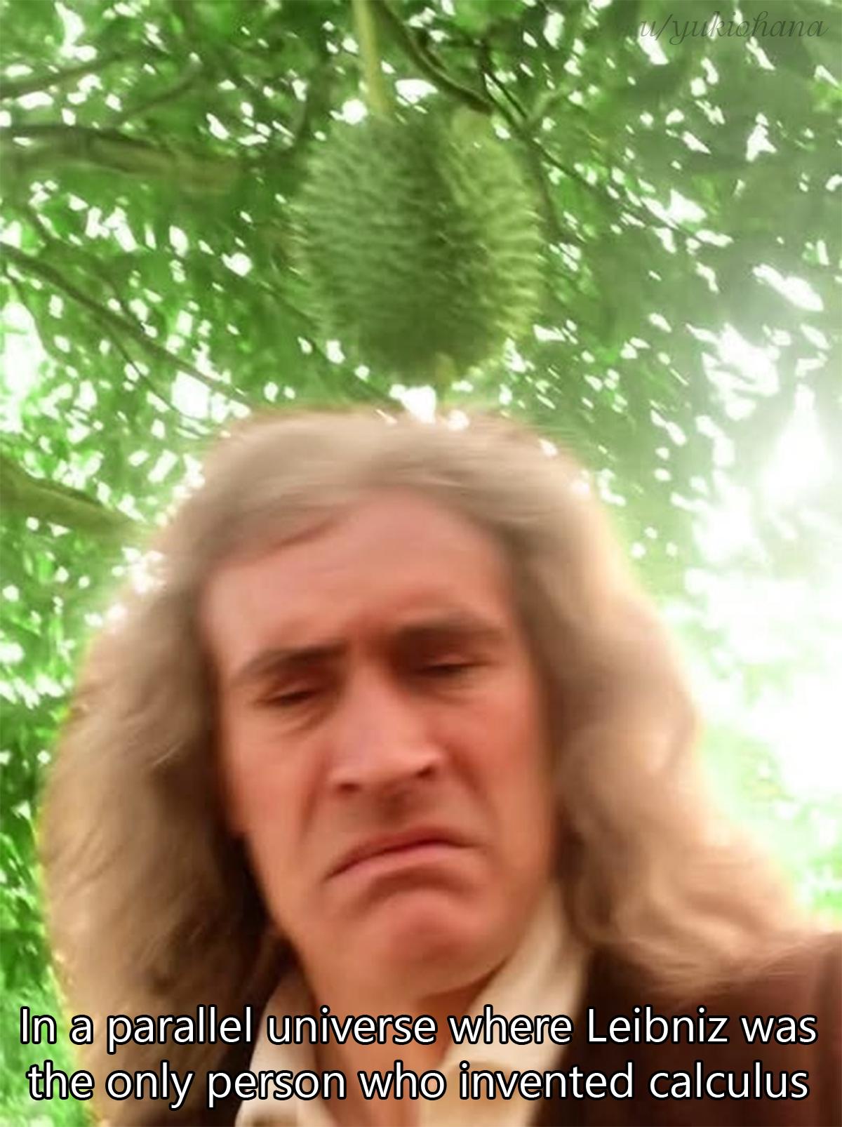 In Another Universe Where Newton Got Hit By A Durian