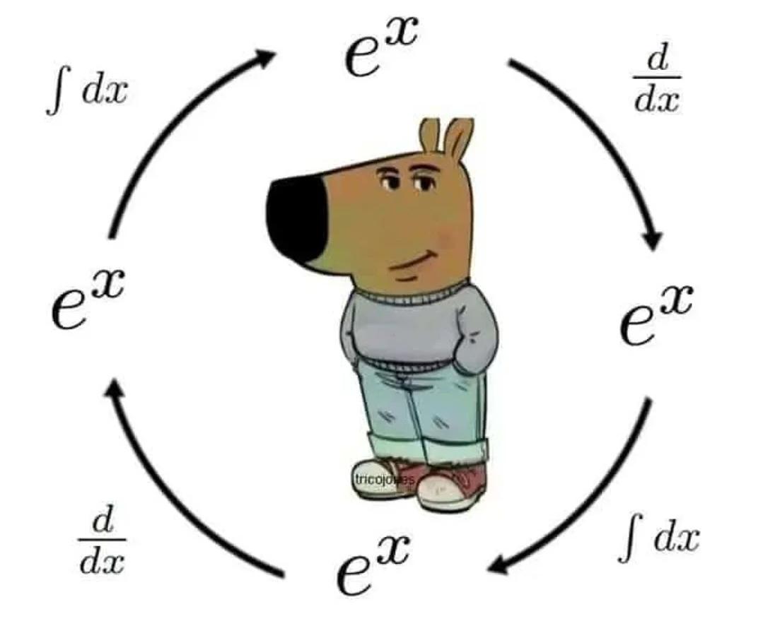 If Chill Guy Was A Function