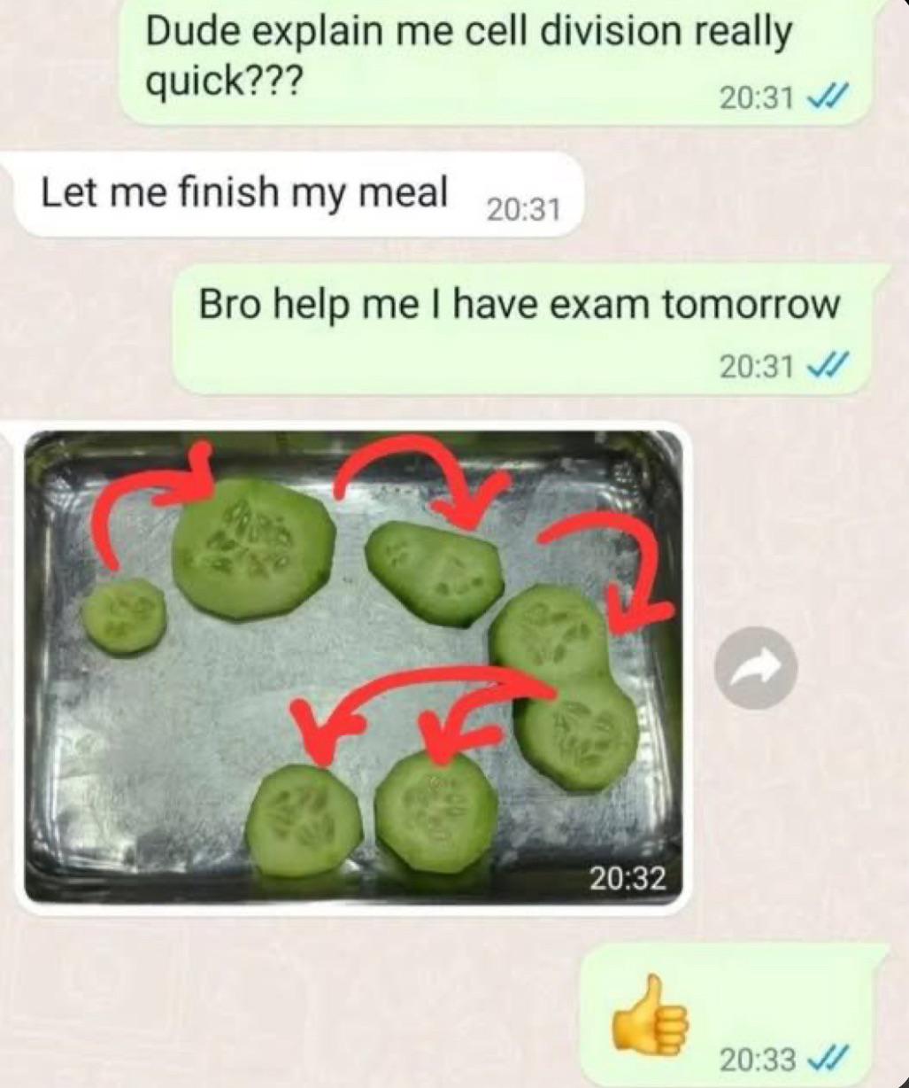 Try This Cell Division