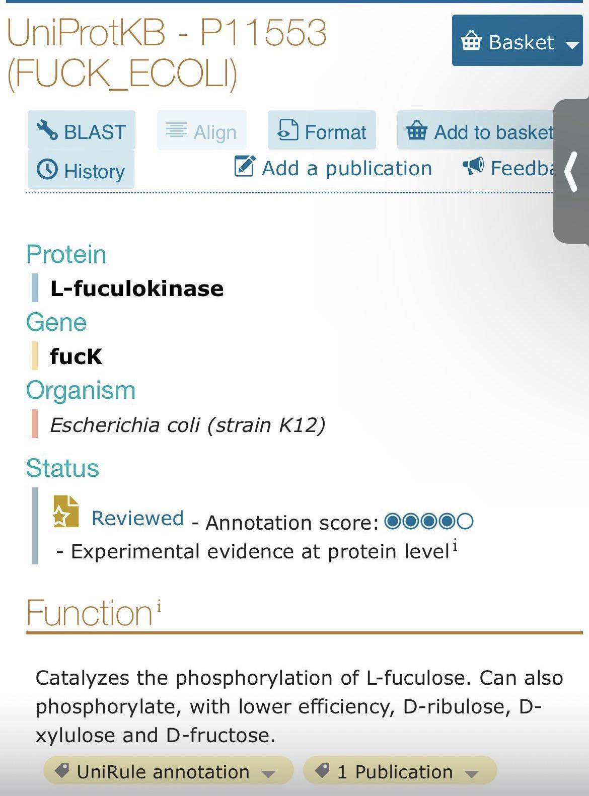 When Gene Names Go Hilariously Wrong