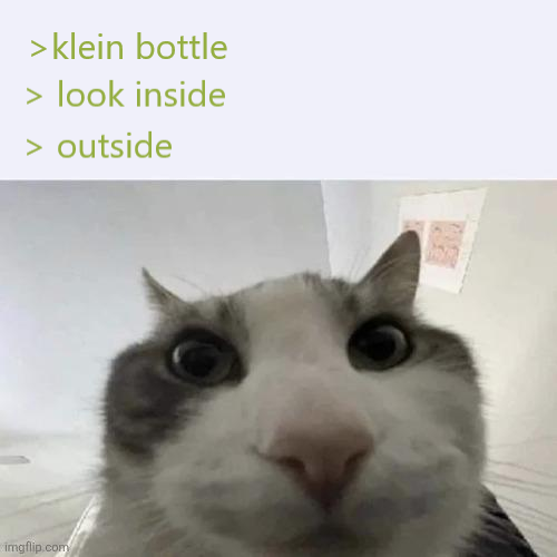 No Inside? The Klein Bottle Paradox