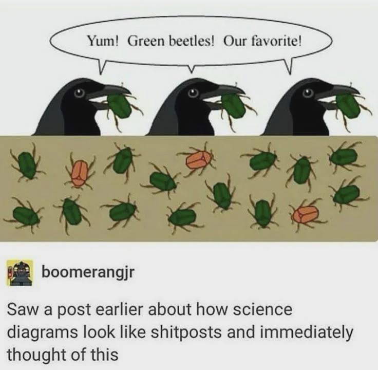 Yum! Green Beetles!