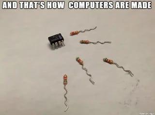 The Birds And Bees Of Computer Hardware