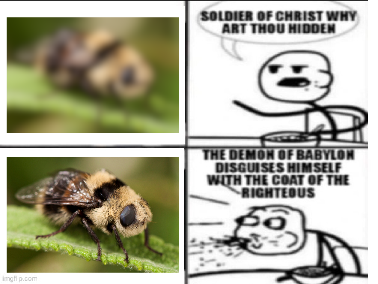 The Biblical Entomologist's Field Guide