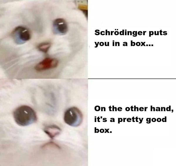 Schrödinger's Real Estate Options