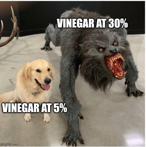 Vinegar: The Quintessential Lesson Of Concentration