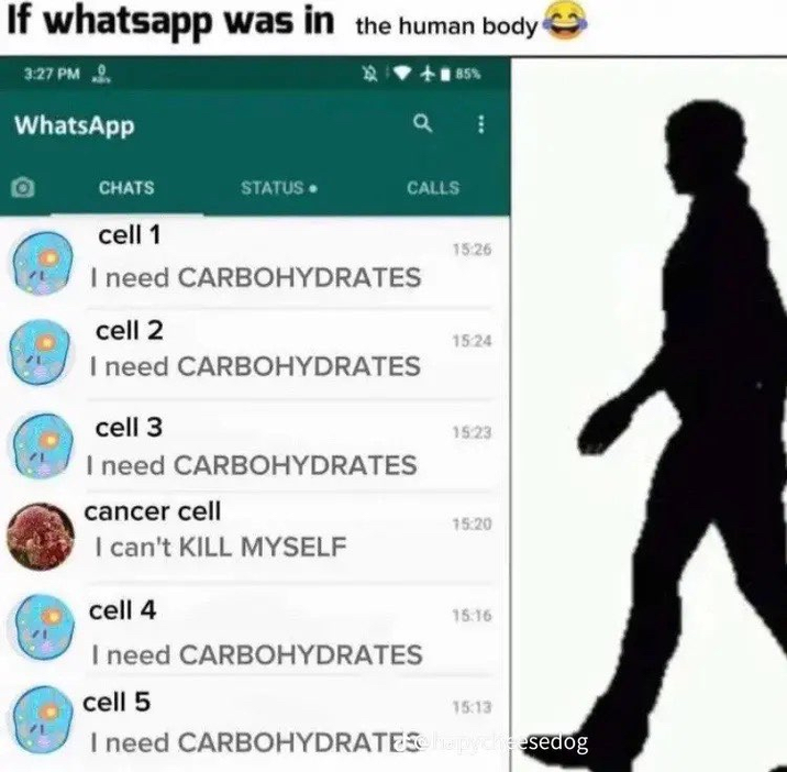 Cellular Group Chat Drama