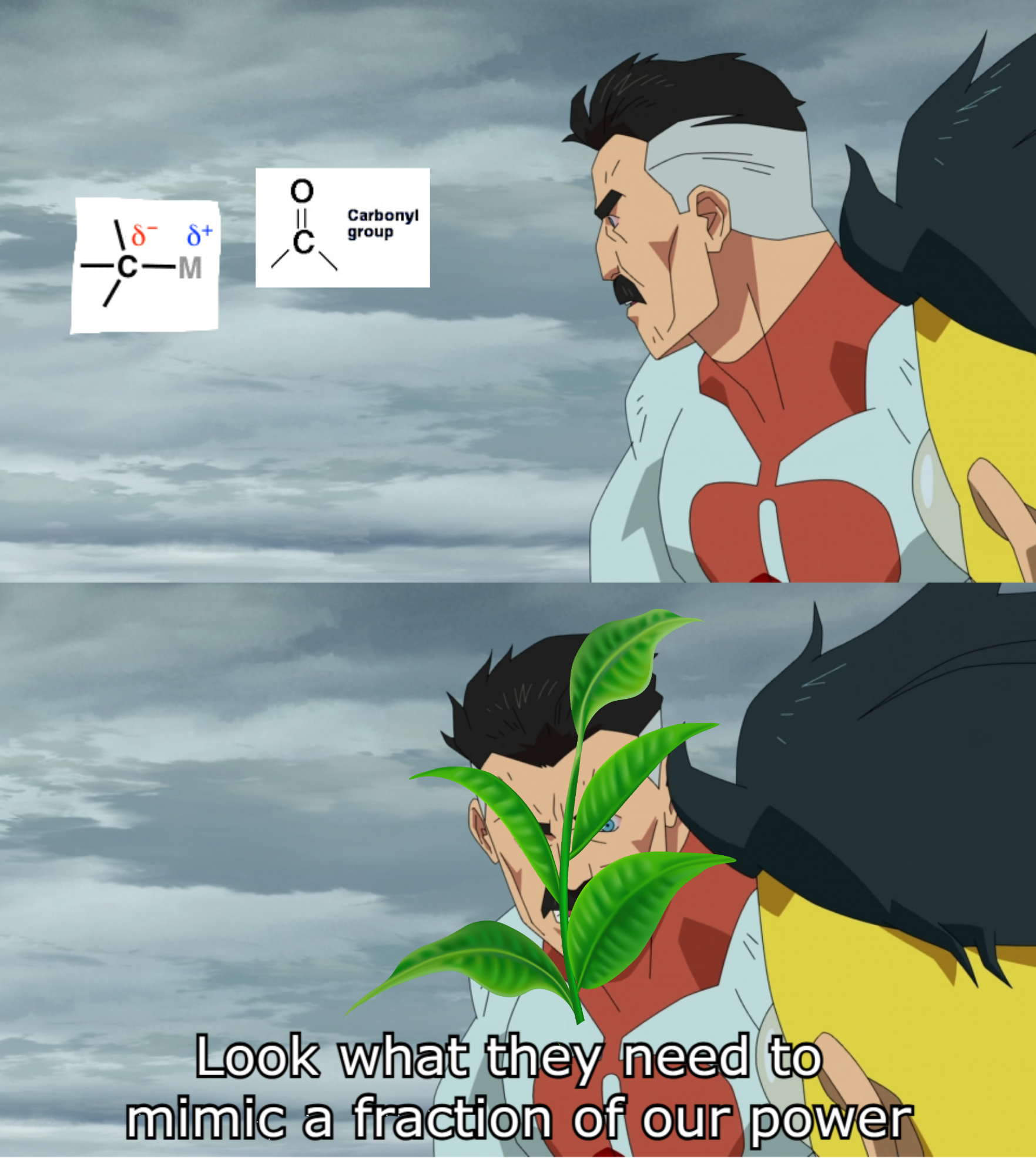 Something About Carbon-Carbon Bond Formation