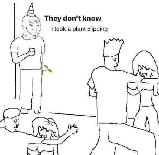 The Botanical Bandit