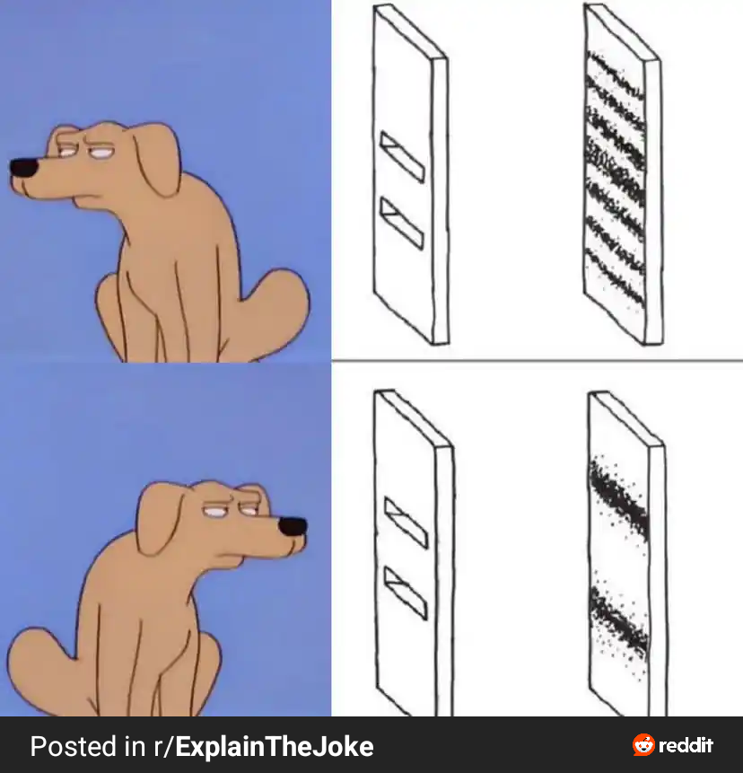 DNA Analysis: Professional vs Canine Edition