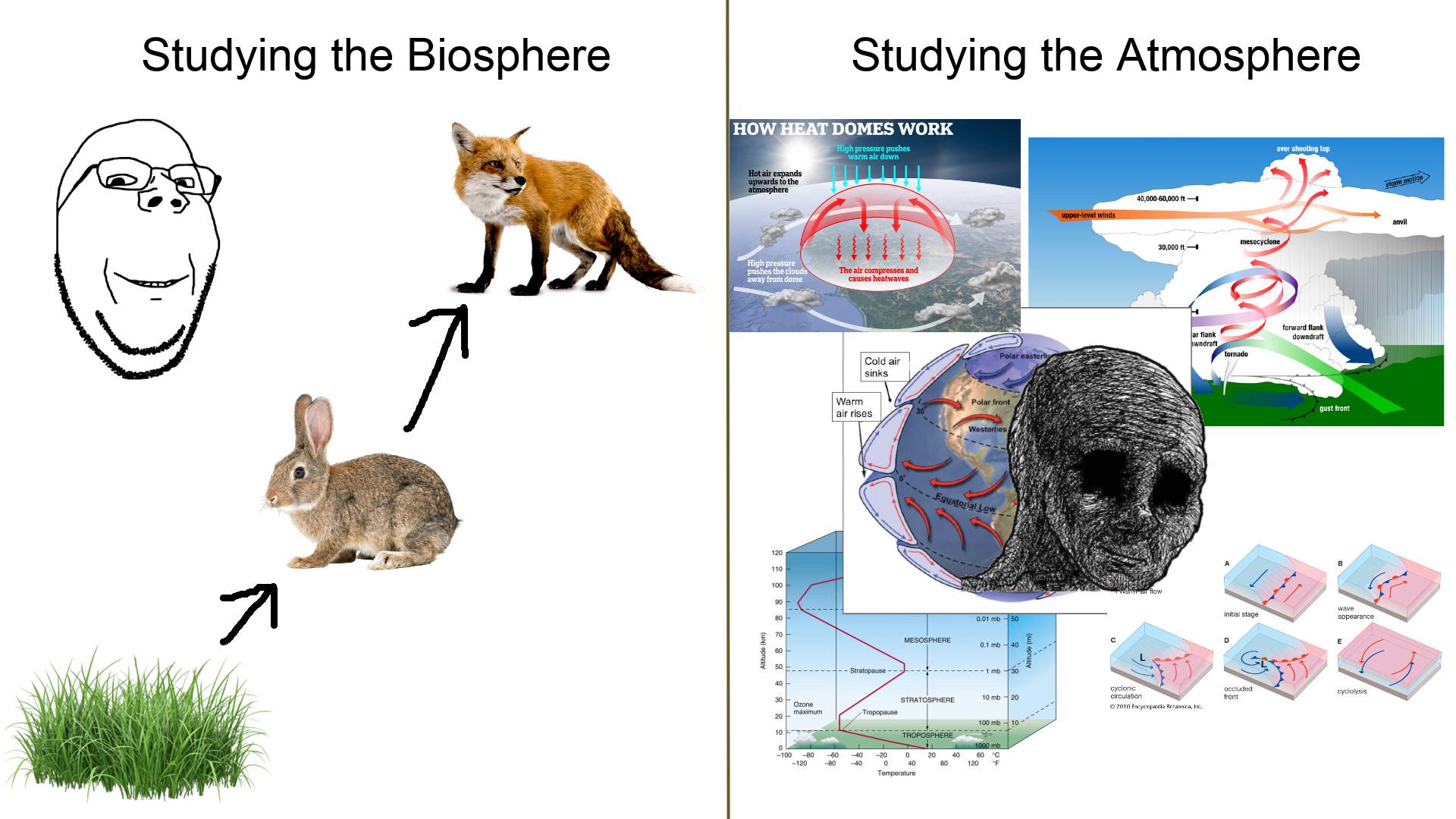 The Great Academic Escalation