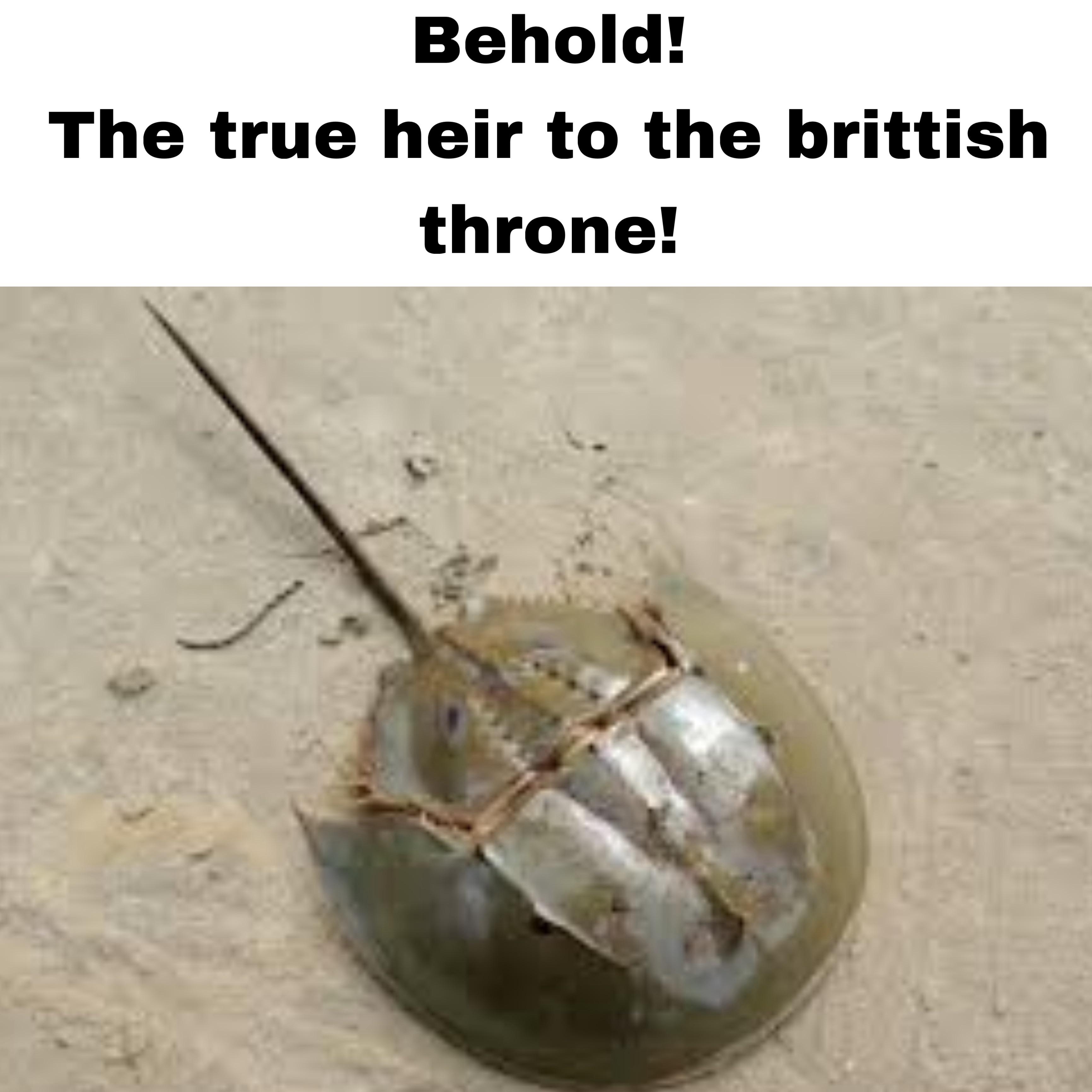 The True Heir To The British Throne