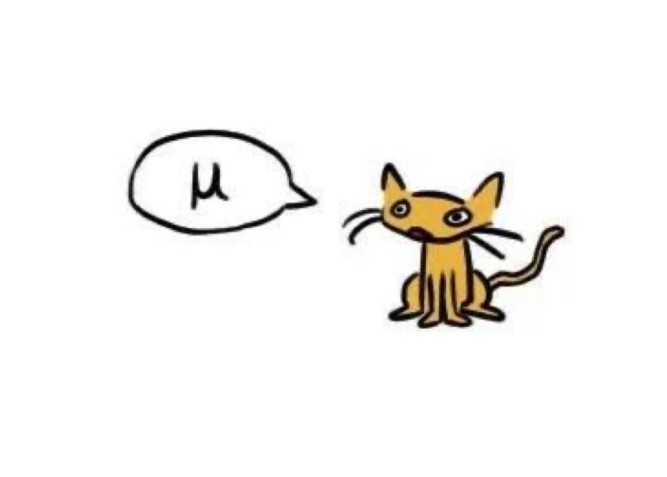 The Coefficient Of Feline Communication