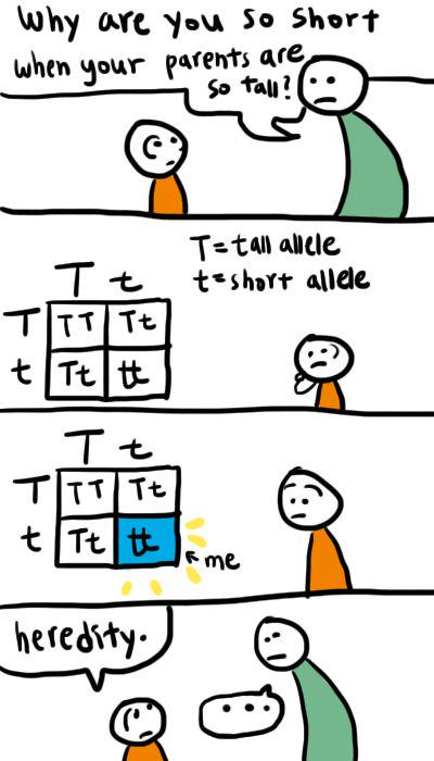 It's All About Those Recessive Genes!