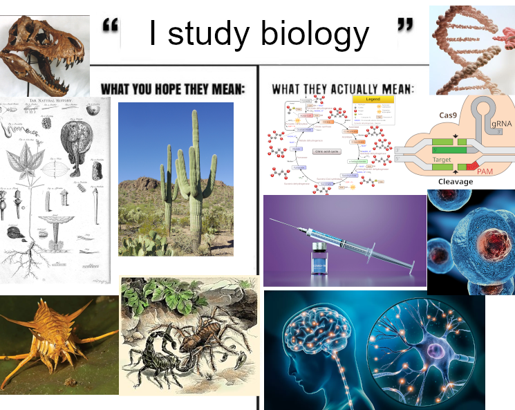 What Kind Of Biology Are You?