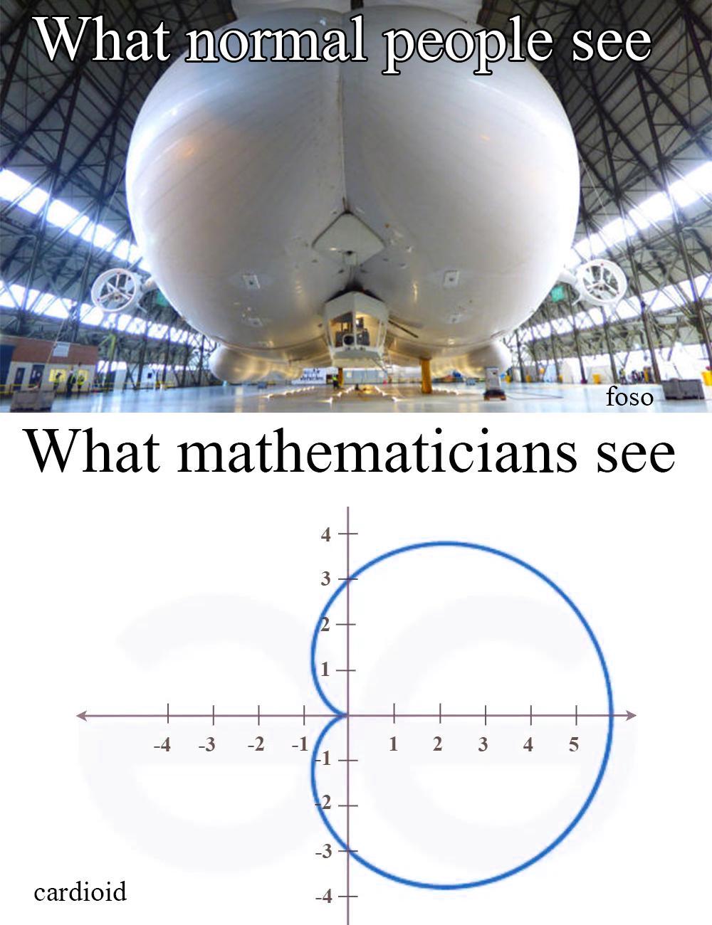 What Do You See? Perception Divided