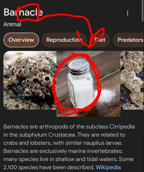 When Your Seasoning Has An Exoskeleton