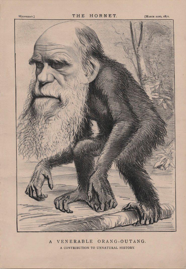 Darwin's Unexpected Primate Transformation