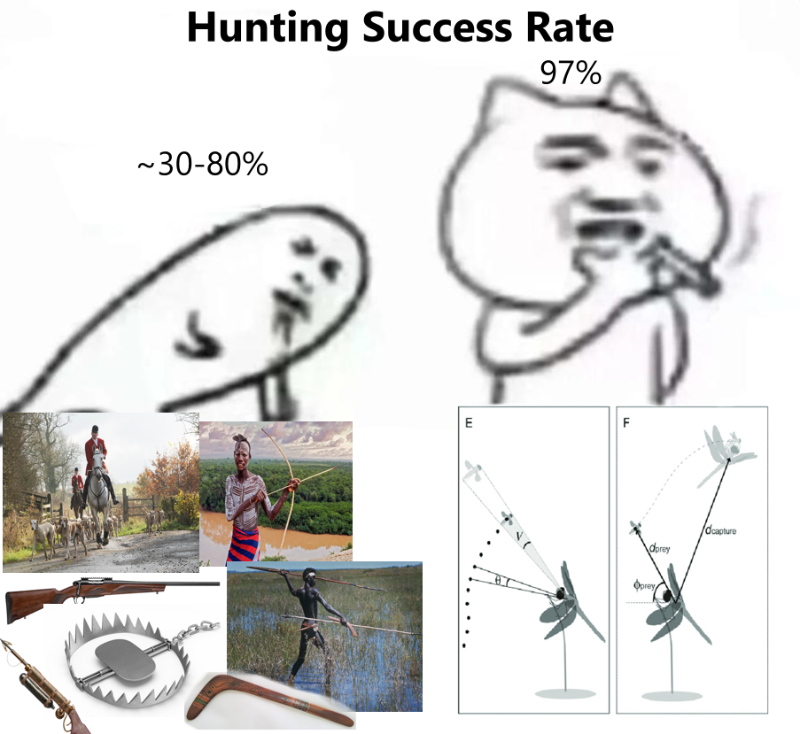 Nature's Perfect Killing Machine
