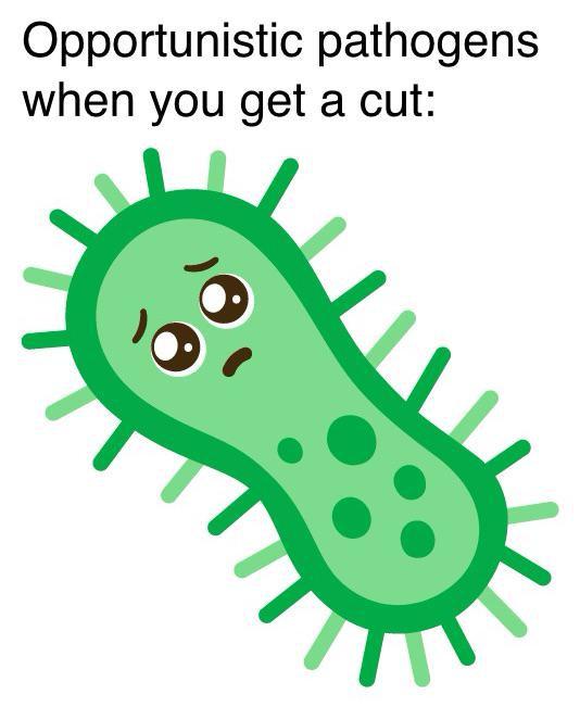 Opportunistic Pathogens: Nature's Real Estate Developers