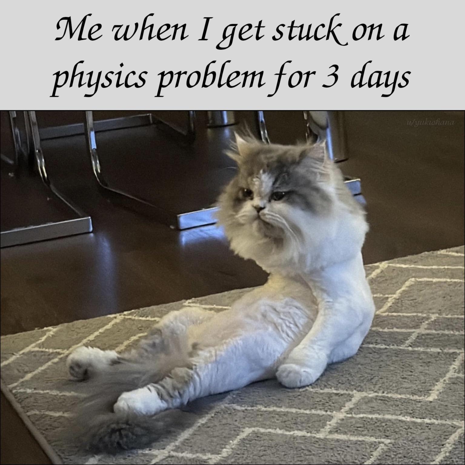 The Physics Problem Posture