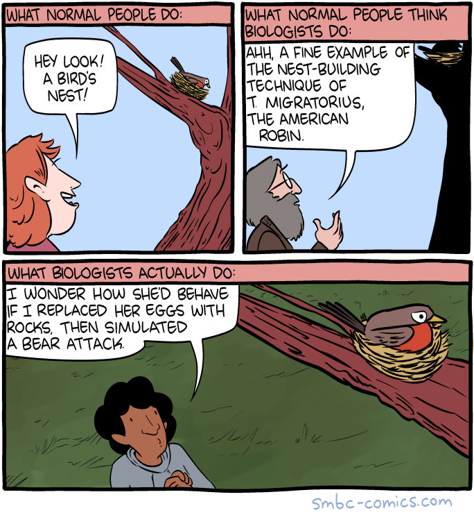 The Unfiltered Truth About Field Biology
